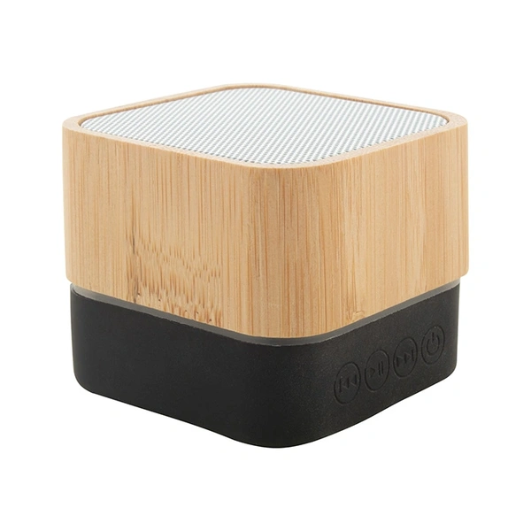  Speakers - Portable - 21 - 700px