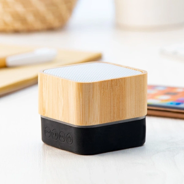  Speakers - Portable - 3 - 700px