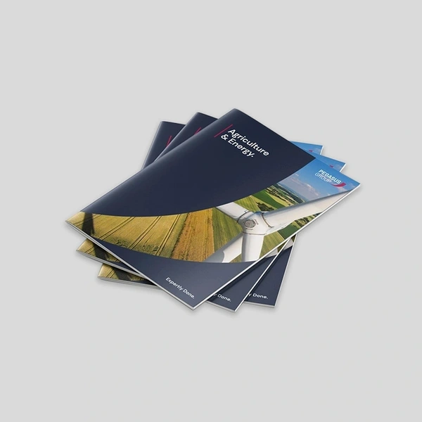  Popular - Products - Brochures - 700px