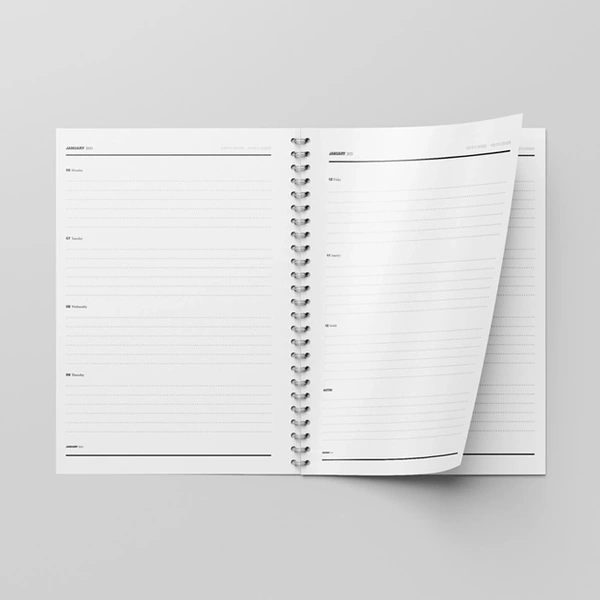  Diaries - 2 - 700px