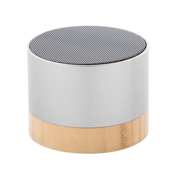  Speakers - Portable - 1 - 700px