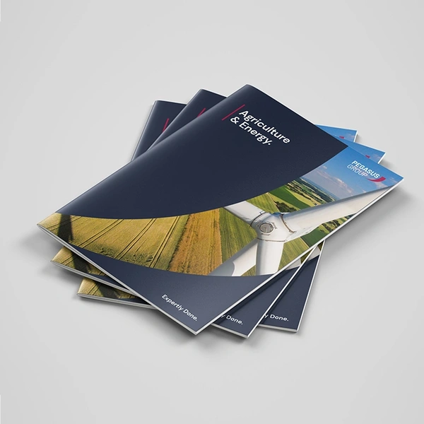  42874 - Saddlestitched - 700px